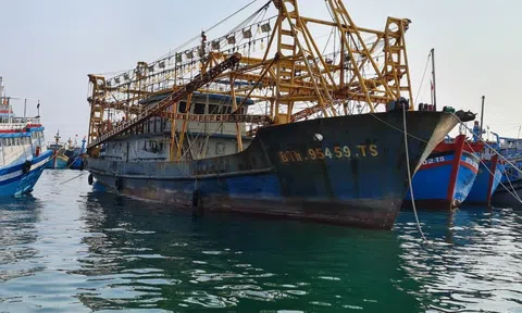 Bình Thuận: Nhiều biện pháp ngăn chặn khai thác hải sản bất hợp pháp