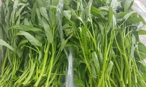 Sai lầm nguy hiểm khi ăn rau muống cần loại bỏ ngay
