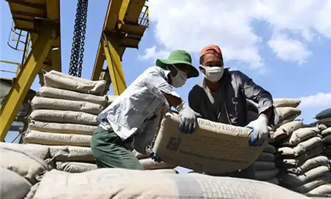 Tiêu thụ giảm sâu, dự báo và giải pháp vượt khó của ngành xi măng năm 2023