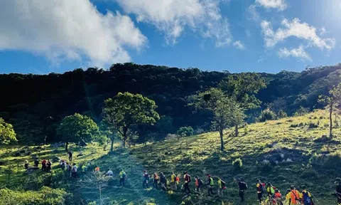 Doanh nghiệp Ấn Độ tìm hiểu cơ hội đầu tư vào du lịch tại Ninh Thuận