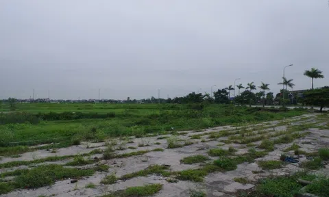 Tìm chủ thực sự của khu "đất vàng" xây siêu thị Aeon Mall ở Thanh Hóa