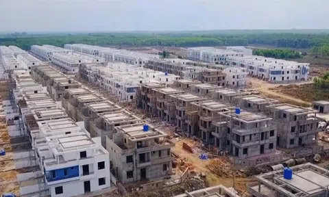 LDG lên tiếng việc bị kiểm toán nhấn mạnh dự án sai phạm ở Đồng Nai