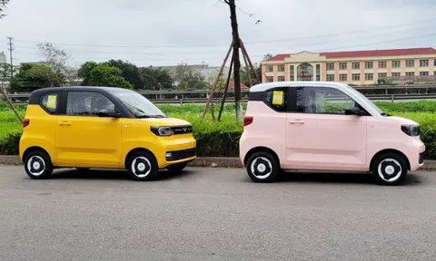 Ô tô điện Trung Quốc giá rẻ lộ diện ở Việt Nam