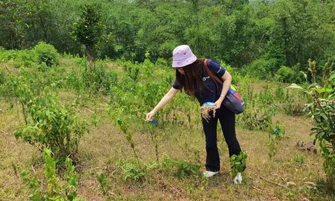 Ba chân kiềng phát triển bền vững của TNG Holdings Vietnam