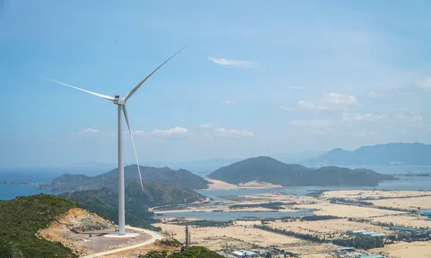 Yêu cầu Bộ Công Thương chỉ đạo EVN đàm phán mức giá tạm thời điện gió, điện mặt trời