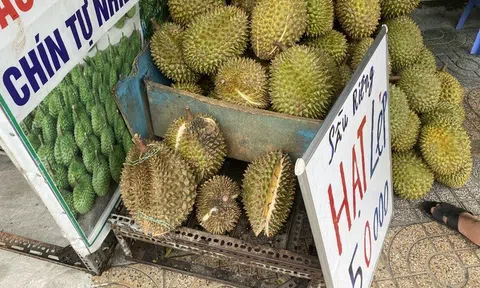 Thực hư sầu riêng rớt giá xuống 50.000 đồng/kg ở TP.HCM