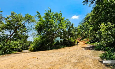 Hà Nội: Cận cảnh những căn biệt thự tiền tỷ sắp bị cưỡng chế