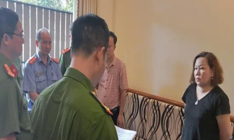 Đồng Nai: Tạm giam nữ giám đốc công ty trốn thuế hơn 3,5 tỷ đồng