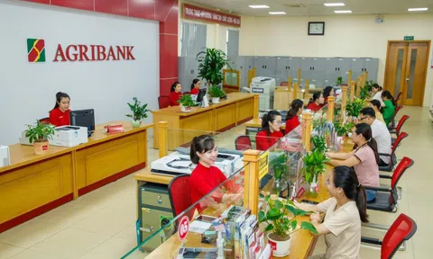 Đề nghị làm rõ trách nhiệm chậm tăng vốn điều lệ cho Agribank