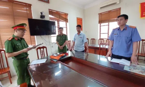 Bắt tạm giam giám đốc khai thác đất trái phép ở Bắc Giang