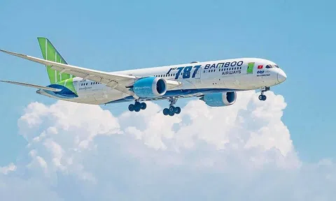 NCB muốn bán 203 triệu cổ phần Bamboo Airways