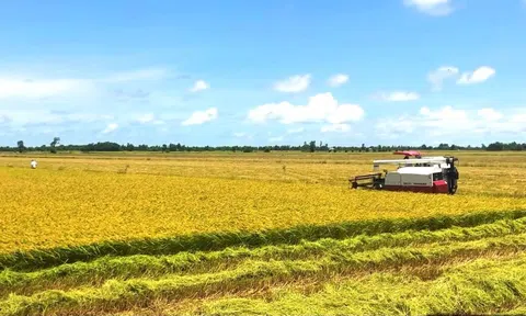 Kiên Giang: Kinh tế 5 tháng đầu năm 2023 tiếp tục tăng trưởng khá