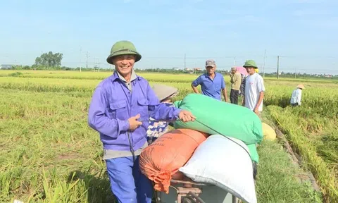 Việt Nam thúc đẩy xuất khẩu gạo sang thị trường châu Phi