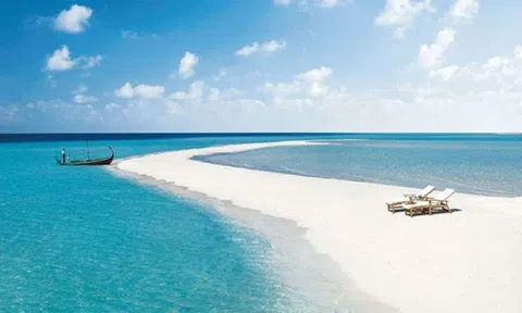 Vì sao ban đêm lại có sóng biển màu xanh?