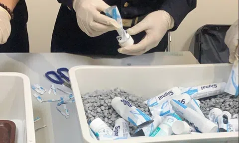 Vụ tiếp viên xách ma túy: Khởi tố 129 bị can, phạt hành chính 37 người