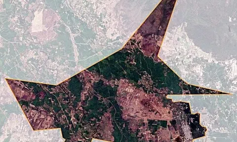 Bình Thuận: Phục hồi điều tra vụ cho thuê trái phép 6ha đất xã Hải Ninh