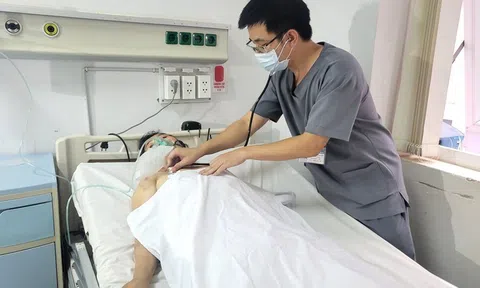 Đắk Lắk: Ăn nấm mọc từ xác nhộng ve sầu, 6 người ngộ độc nhập viện cấp cứu