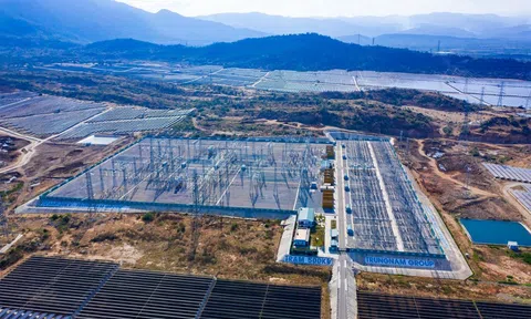 Trung Nam Group: Tổng tài sản đạt hơn 96.000 tỷ đồng, lợi nhuận năm 2022 giảm 84%