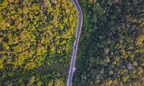 Lâm Đồng: Tuyên truyền, ngăn chặn xây dựng công trình chờ bồi thường dự án cao tốc