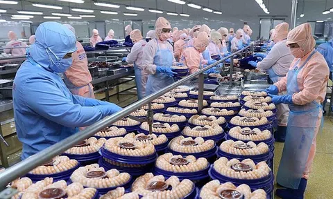 Thị trường nội địa: "Điểm tựa" vững chắc khi xuất khẩu gặp khó