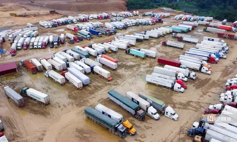 Bộ Tài chính bổ sung quy định xác định xuất xứ hàng hóa xuất nhập khẩu