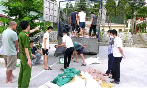 Thu giữ lô hàng thực phẩm bẩn không rõ nguồn gốc tại Lào Cai