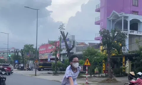 Lý do nhiều cây xanh trên đường Phạm Văn Đồng bị cắt, tỉa trụi cành