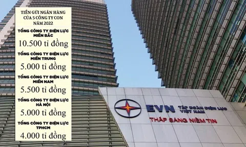 Vì sao các công ty con của EVN gửi ngân hàng hàng chục ngàn tỷ đồng?