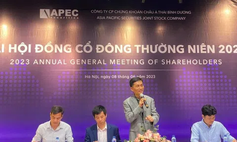 Chứng khoán APEC có thể lãi 400 - 500 tỷ đồng từ cổ phiếu IDJ và API