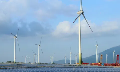 2 "ông lớn" ngân hàng cùng siết nợ một công ty tuabin điện gió