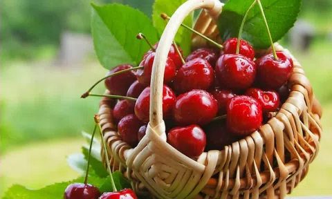 Gợi ý những loại quả giúp bạn có giấc ngủ ngon
