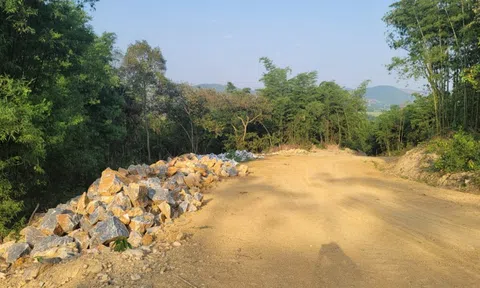 Thanh Hóa: Xẻ núi, xiên rừng phòng hộ mở đường vào trại lợn trái phép