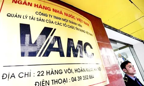 Công ty xử lý nợ xấu cho các ngân hàng lãi 165 tỷ đồng năm 2022