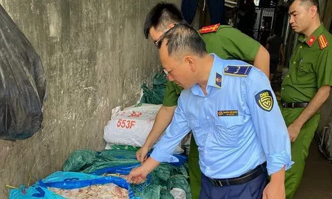 Hà Nội: Tiêu hủy gần 1 tấn cánh gà đông lạnh đang có dấu hiệu phân hủy