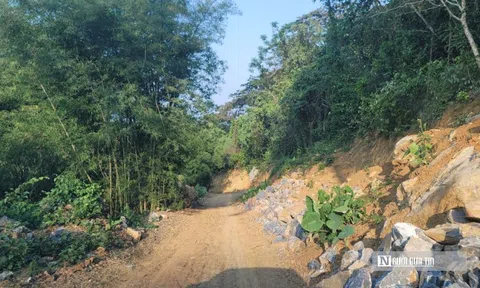 Không đủ điều kiện vẫn được hỗ trợ 3,5 tỷ để làm đường vào trại lợn