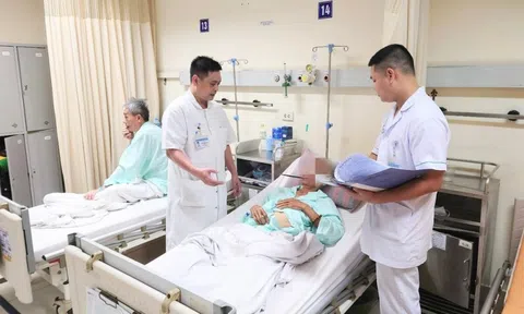 Người đàn ông mất toàn bộ da dương vật và một tinh hoàn khi đỡ đẻ cho lợn nái