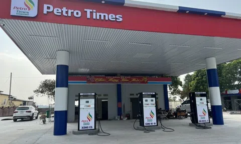 15 triệu cổ phiếu PPT sắp niêm yết trên HNX, Petro Times "máu mặt" thế nào?