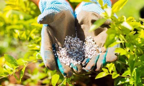 Điều chỉnh giảm thuế xuất khẩu phân bón NPK về mức 0% từ ngày 15/7