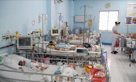 Sở Y tế TP.HCM lên 3 kịch bản đối phó với bệnh tay chân miệng