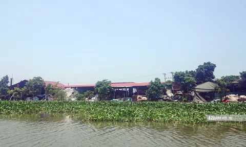 Hải Phòng: Dòng sông "oằn mình" gánh xả thải