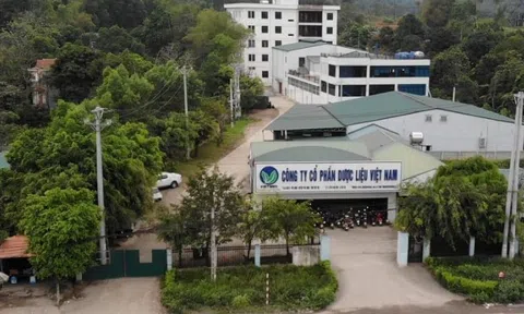 Công ty CP Dược liệu Việt Nam bị xử phạt 60 triệu đồng