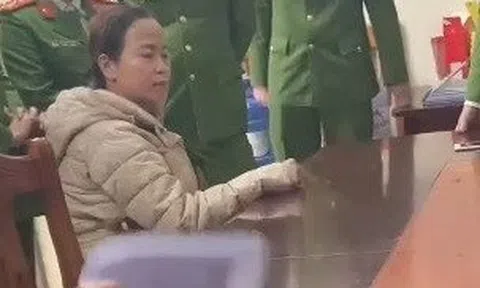 Khởi tố cựu giáo viên tiếng Anh lừa đảo chiếm đoạt số tiền ''khủng''