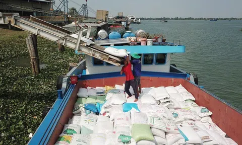 Trung Quốc đang tăng cường mua gạo Việt Nam