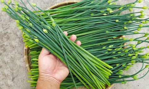 6 loại rau bán đầy chợ rẻ như cho nhưng lại là "thần dược" cho não bộ