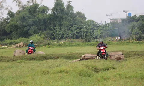 Kiếm tiền triệu mỗi ngày nhờ chạy xe máy săn châu chấu trên cánh đồng