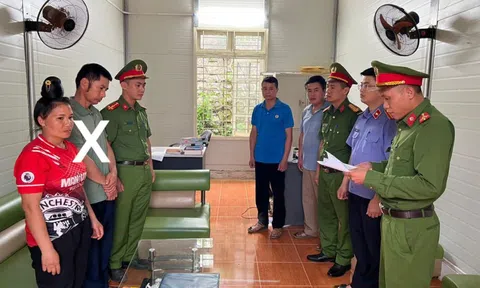 Khởi tố trưởng bản hủy hoại rừng lấy đất trồng cây cà phê