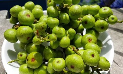 Quả sung tốt cho sức khỏe nhưng đem phơi khô uống công dụng có thật "thần kỳ"?