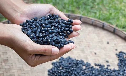 4 nhóm người không nên ăn đậu đen kẻo "càng ăn càng hại"