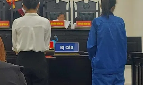 Hai nữ nhân viên công ty về giáo dục lừa đảo hơn 770 triệu đồng