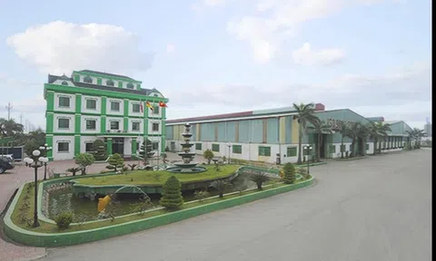 Hai doanh nghiệp bị phạt gần trăm triệu đồng do không công bố thông tin